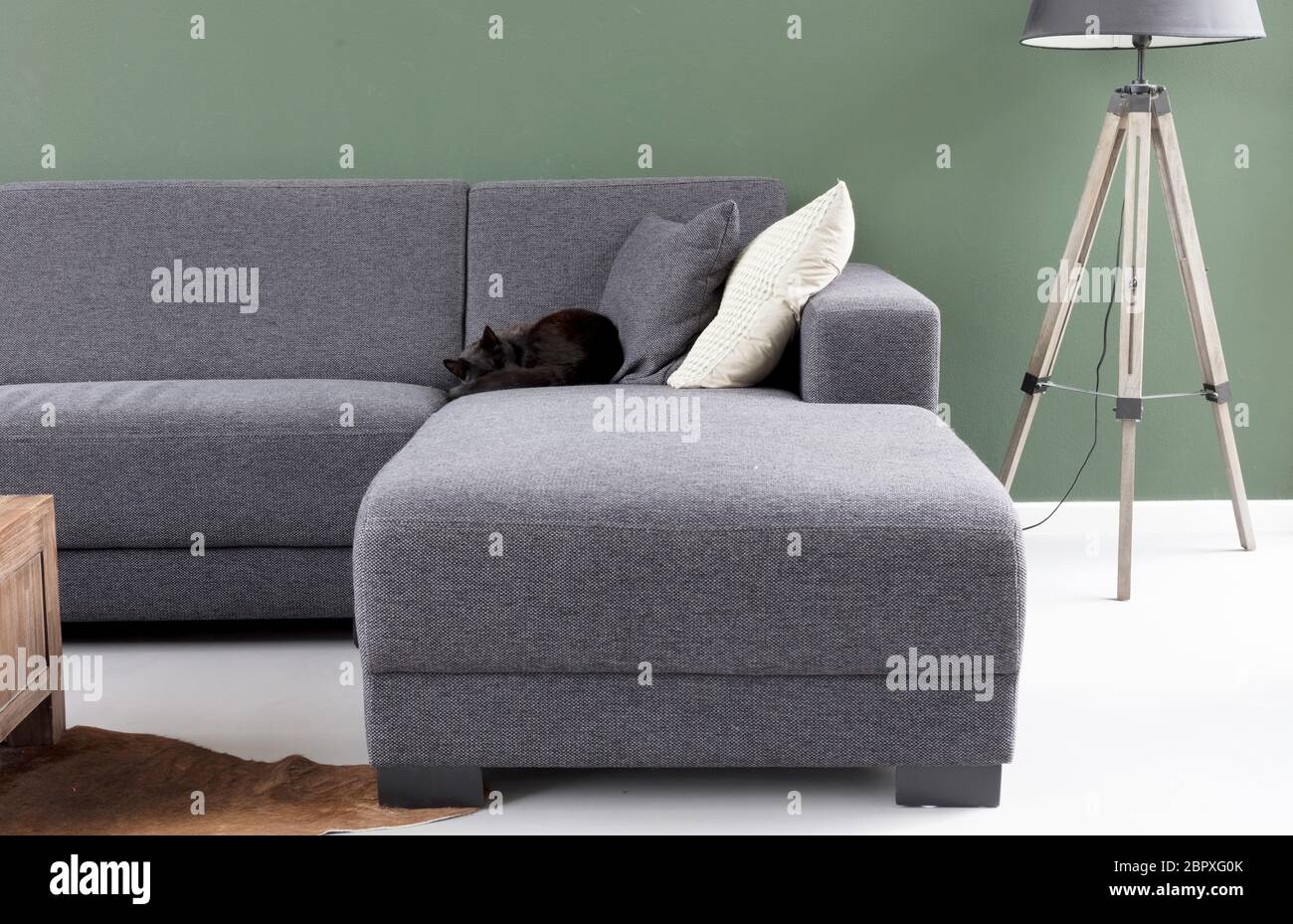 Black cat sleeping on a grey couch Stock Photo - Alamy