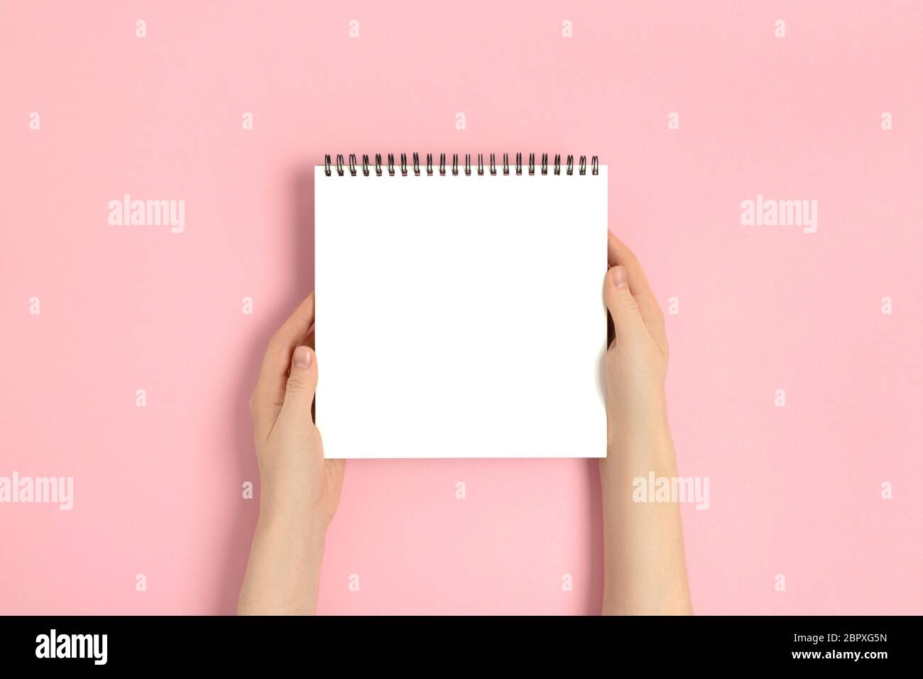 Female hands hold notepad. Blank copybook mockup on a pink pastel ...