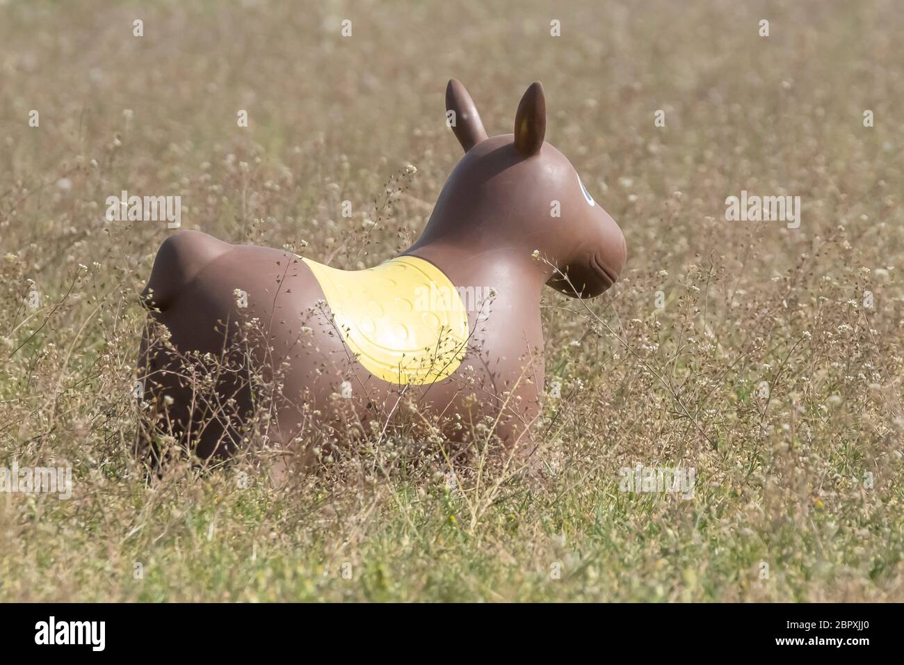 horse field toys