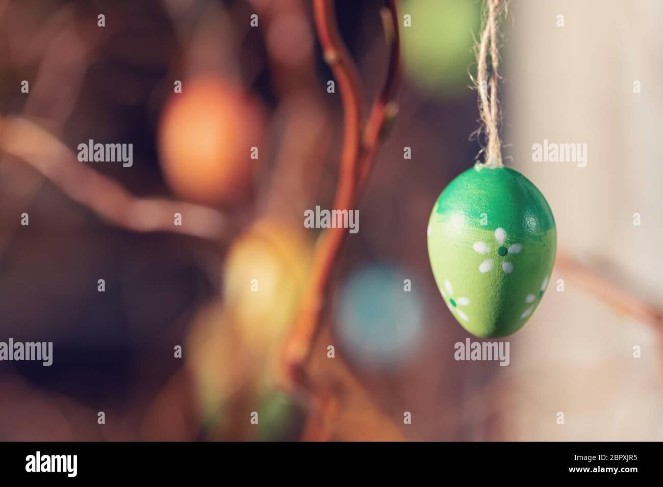 Hanging Easter eggs on tree with soft focus bokeh and color toned. Spring easter concept background. Stock Photo
