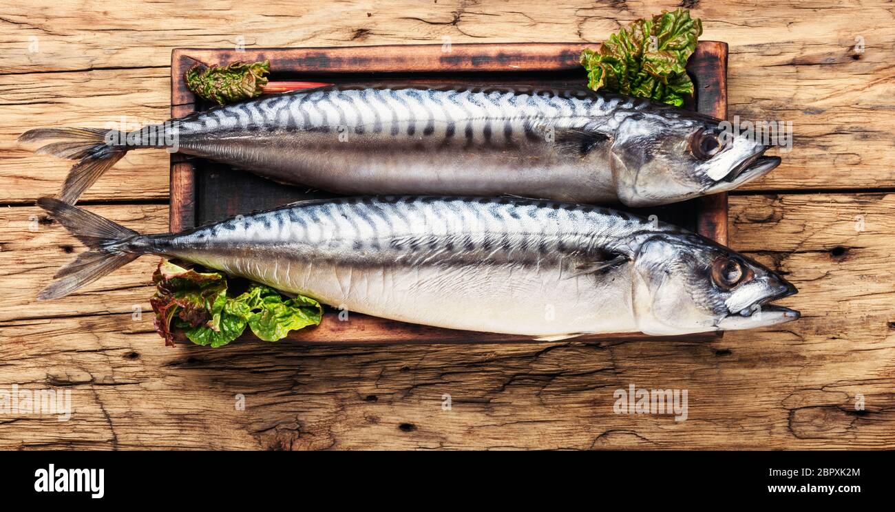 Salted mackerel on a kitchen board.Smoked mackerel Stock Photo Alamy