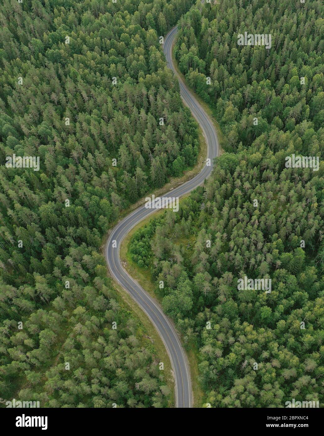 Aerial view of a road winding through forest hi-res stock photography ...