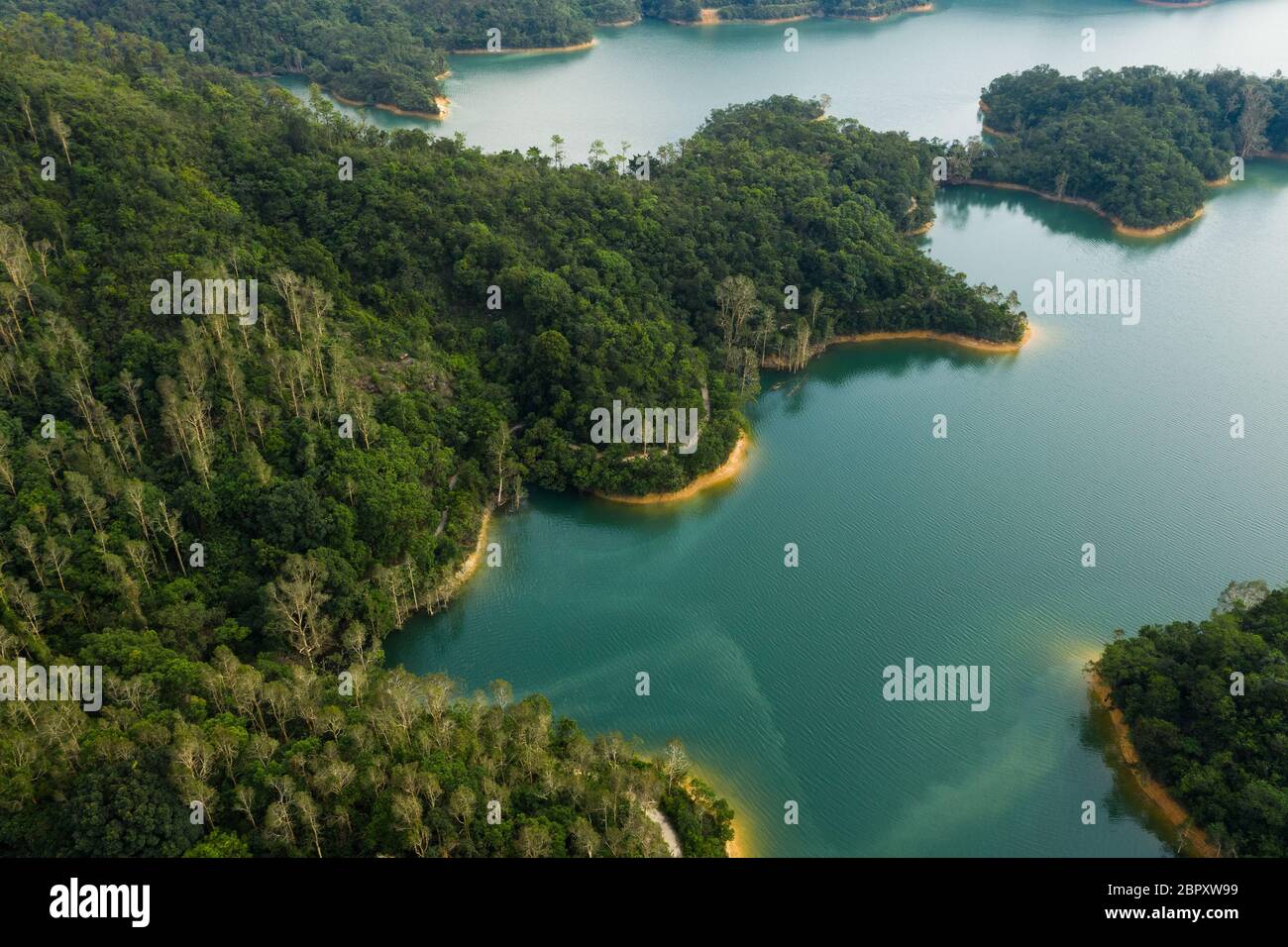 hutan simpan royal belum