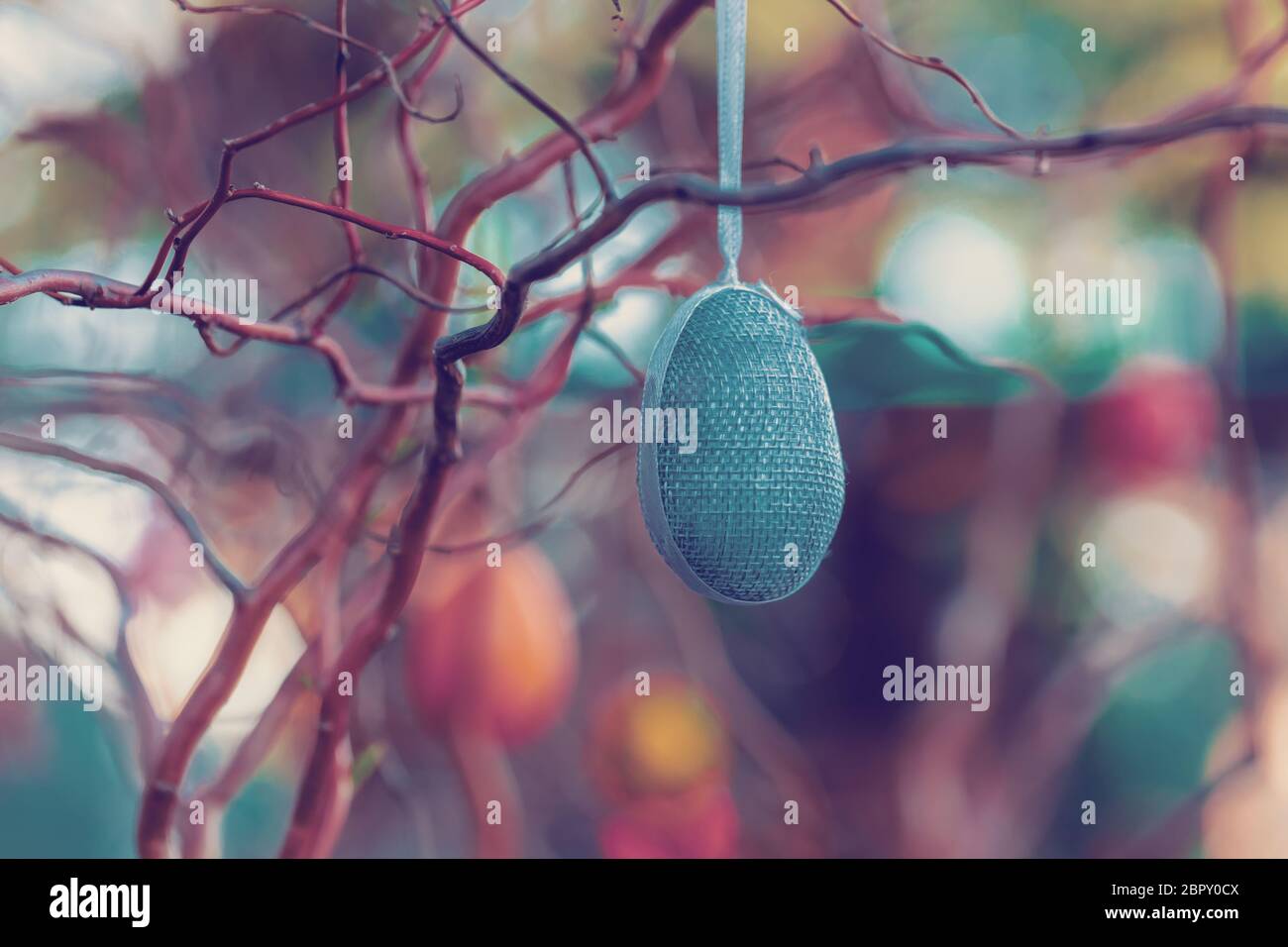 Hanging Easter eggs on tree with soft focus bokeh and color toned. Spring easter concept background. Stock Photo