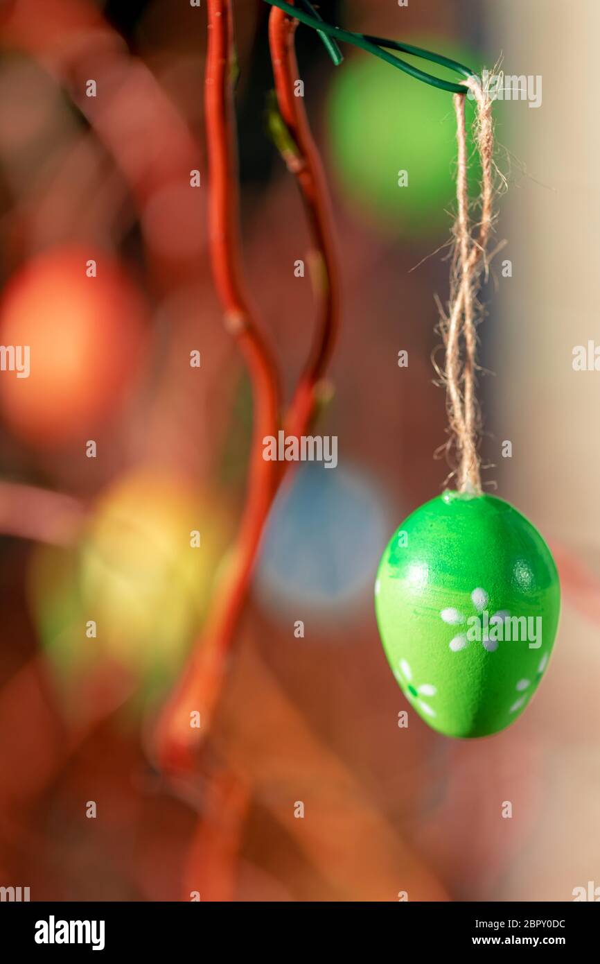 Hanging Easter eggs on tree with soft focus bokeh and color toned. Spring easter concept background. Stock Photo