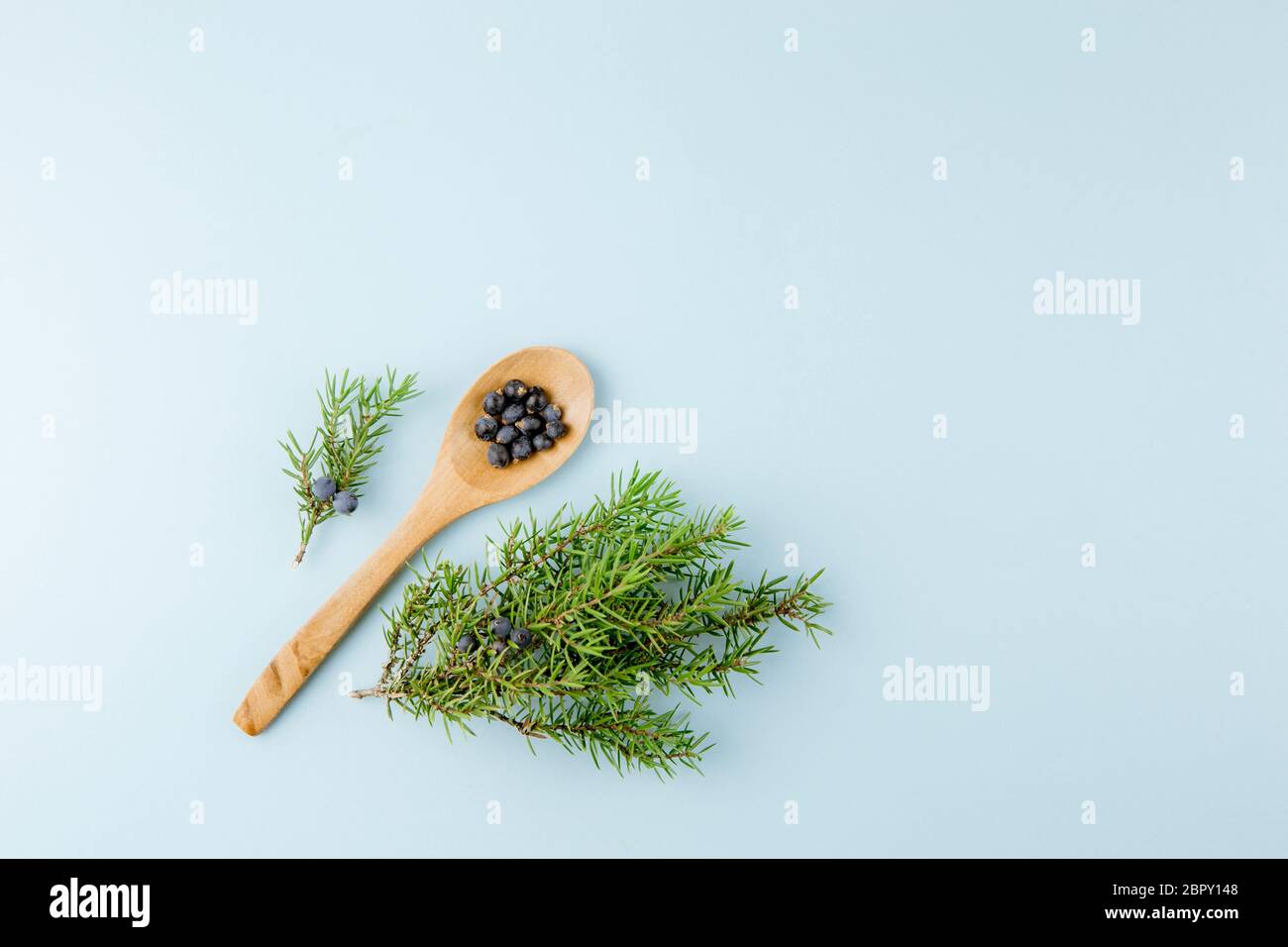 Top view of Juniper latin Juniperus communis berries on wooden spoon, juniper tree branch with confier cones and berries scattered around, copy space. Stock Photo