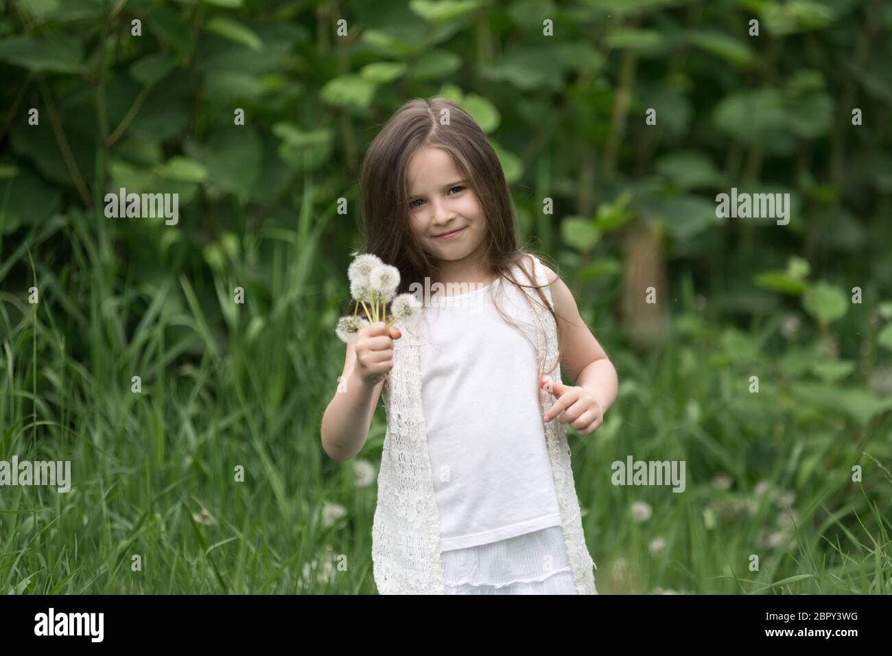 Portrait of a beautiful little girl with dandelions Stock Photo - Alamy