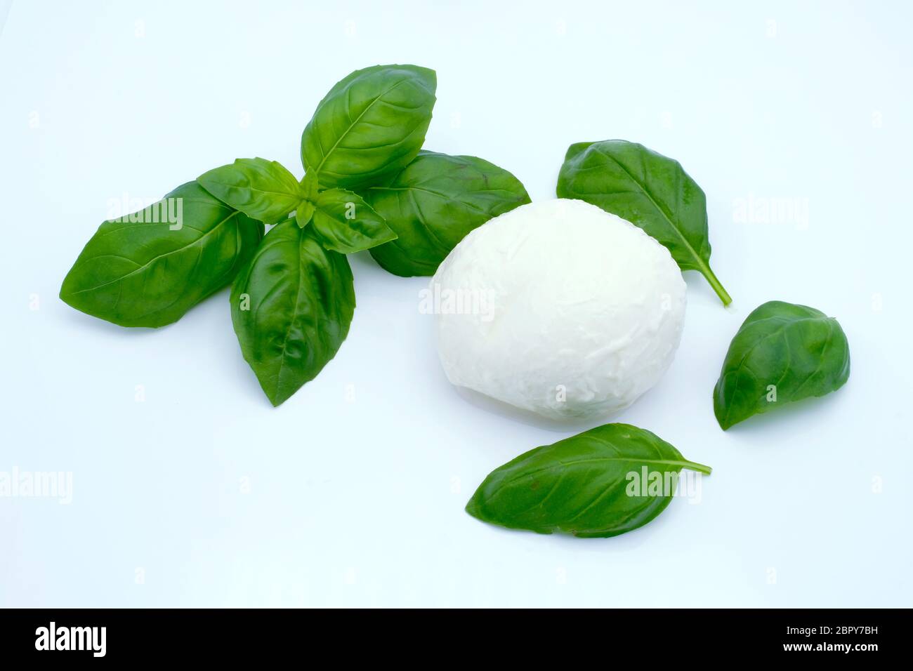 A Ball of Mozzarella Cheese with Basil Leaves Stock Photo