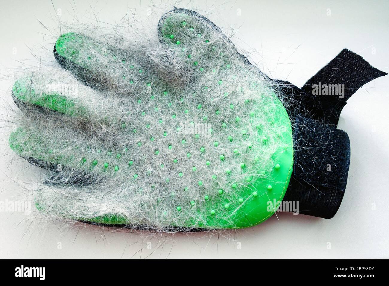 white and gray hair of cat on green glove after grooming on white background Stock Photo
