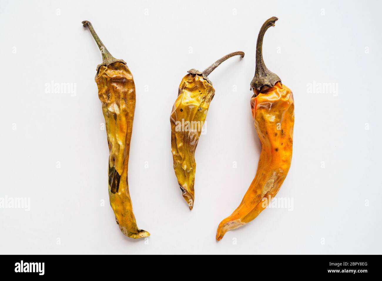 three old dried and spoiled yellow peppers on a white background, top view Stock Photo
