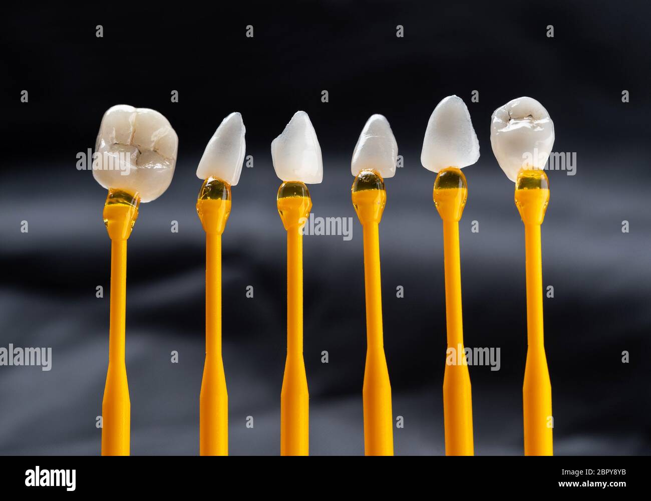 Dental veneers on the plastick stick Stock Photo
