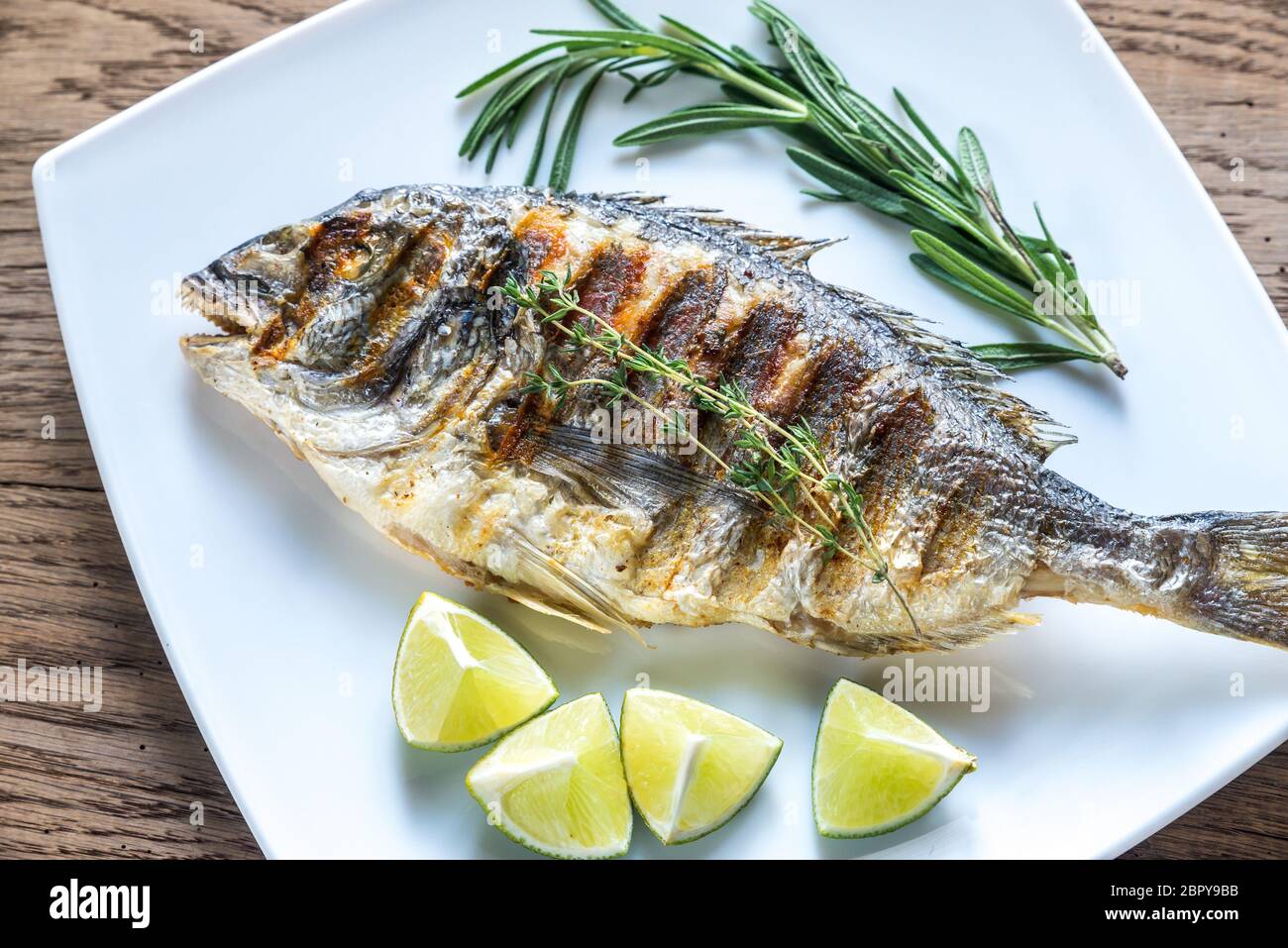 Dorade Royale Fish Stock Photo - Alamy