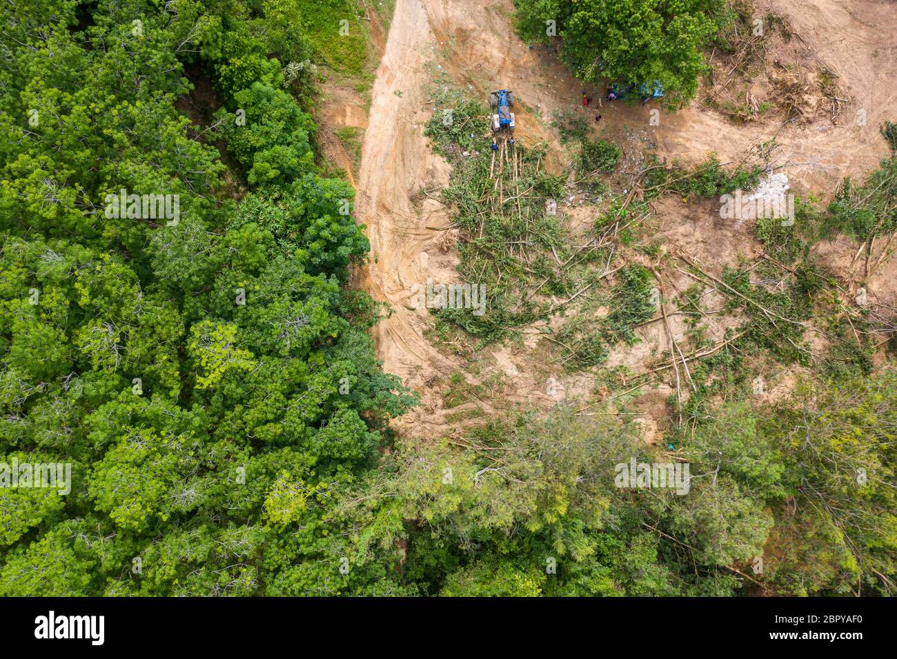 Aerial view of deforestation of a tropical rainforest to make way for logging and palm oil plantations contributing to climate change and global warmi Stock Photo