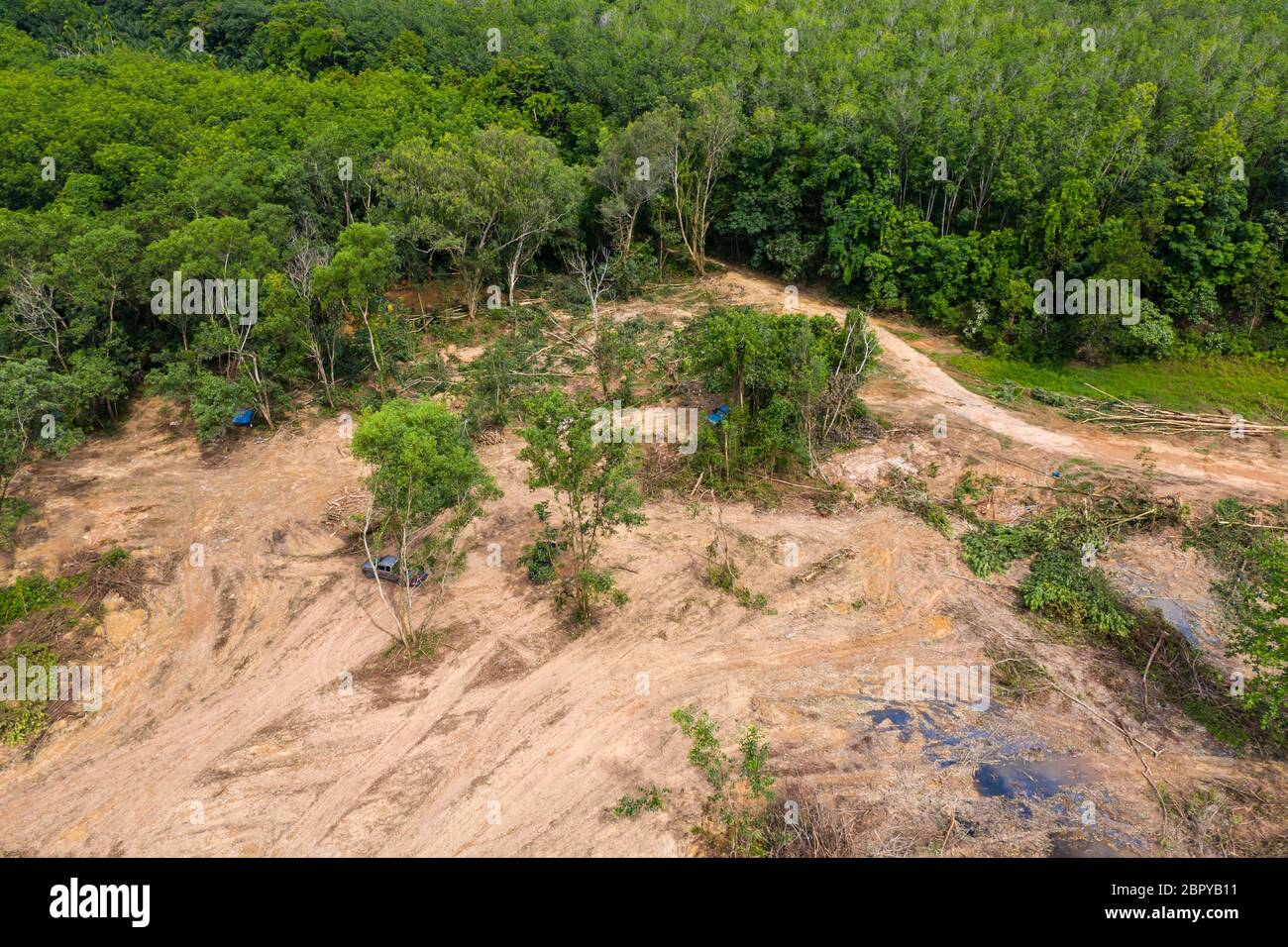Aerial view of deforestation of a tropical rainforest to make way for logging and palm oil plantations contributing to climate change and global warmi Stock Photo