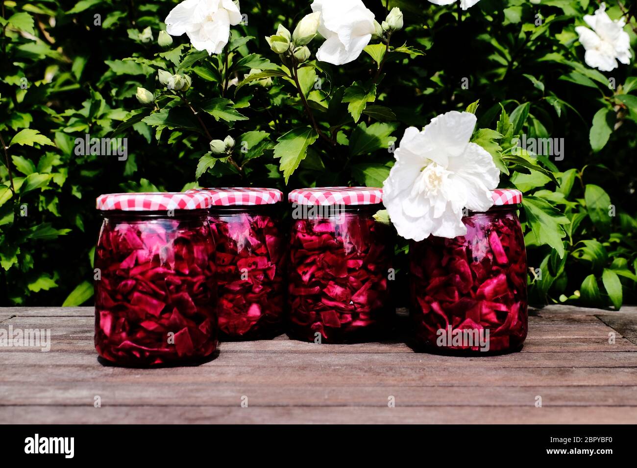 Home-made Pickled Red Cabbage Stock Photo