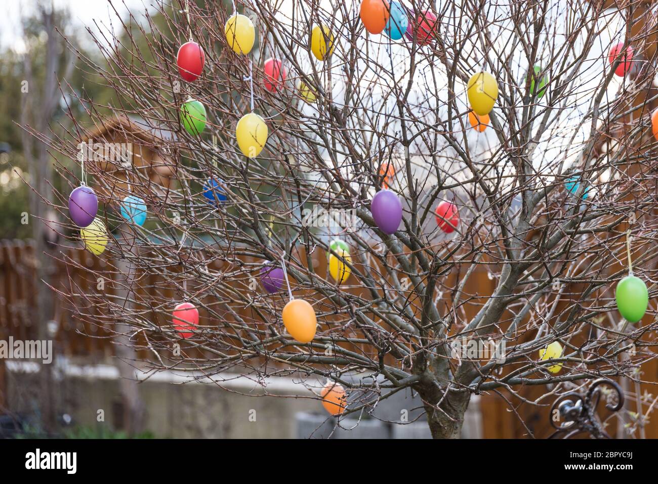 colorful Easter eggs made of plastic hang in the garden on a tree ...