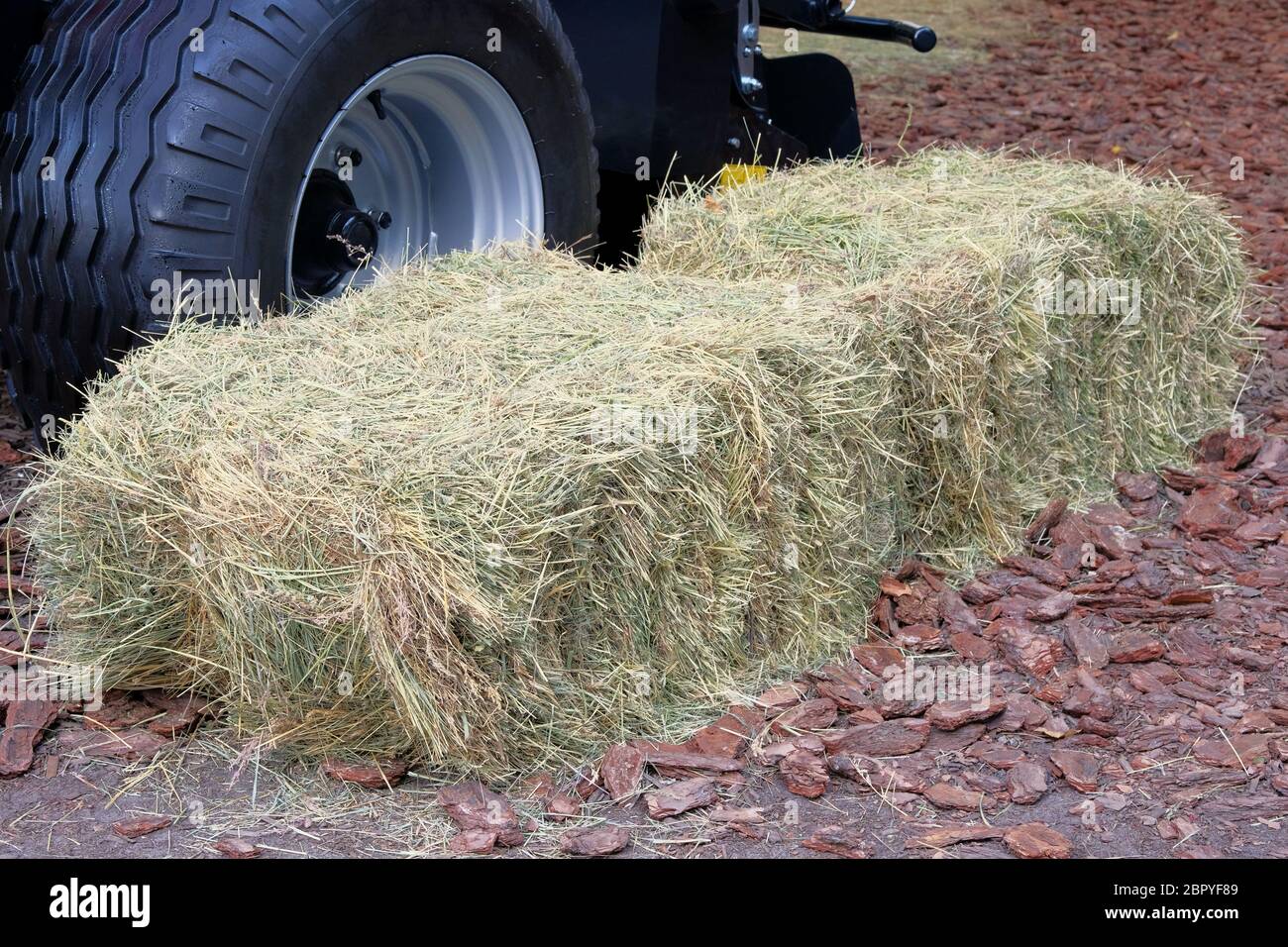 Hay and straw next to the truck. Hay for cows, horses, goats and sheep
