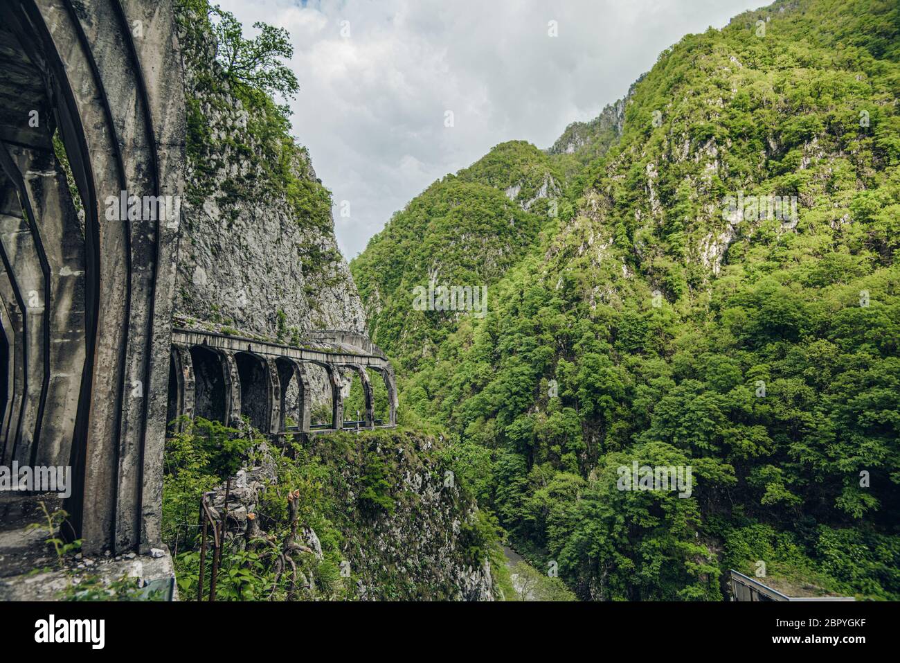 old tunnel overgrown with grass summer mountains Stock Photo