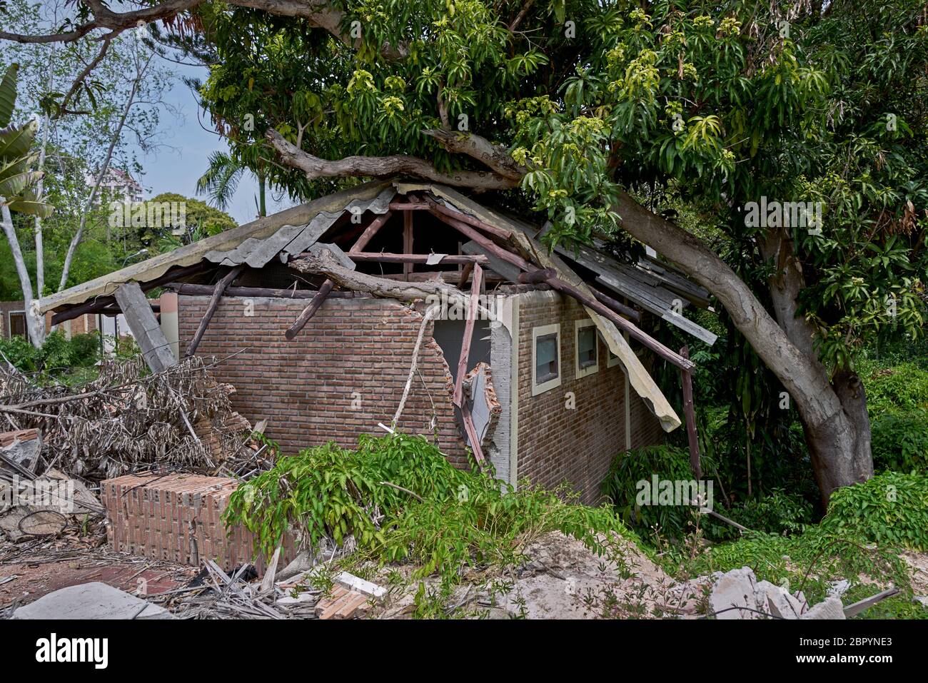 Storm damaged house from a fallen tree following severe tropical storm