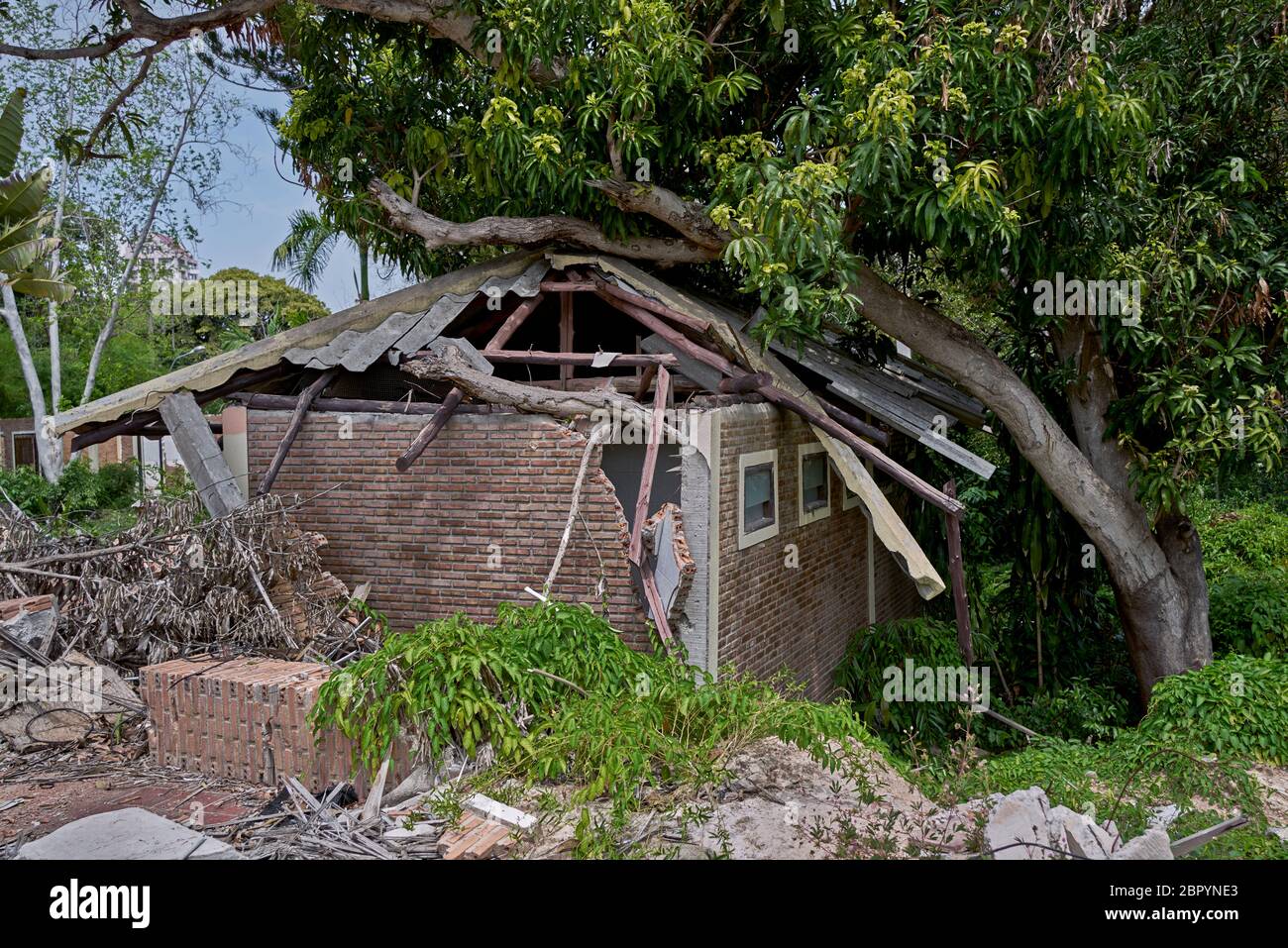 Storm damaged house from a fallen tree following severe tropical storm. Thailand Southeast Asia Stock Photo