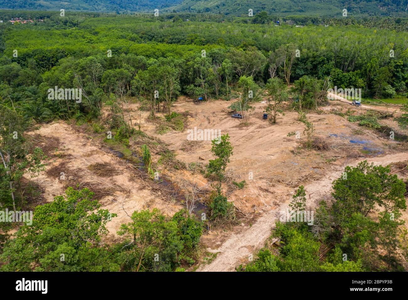 Aerial drone view of logging operatons and active deforestation of a tropical rainforest contributing to habitat destruction and man-made climate chan Stock Photo