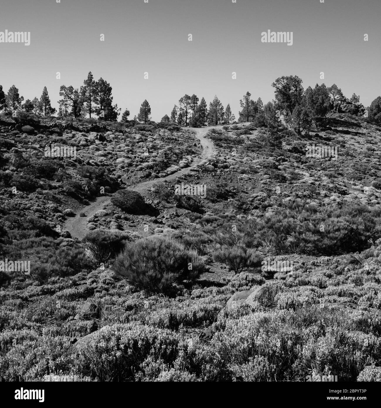 A monochrome shot of a curled hiking footpath throught the Mount Teide wilderness Stock Photo