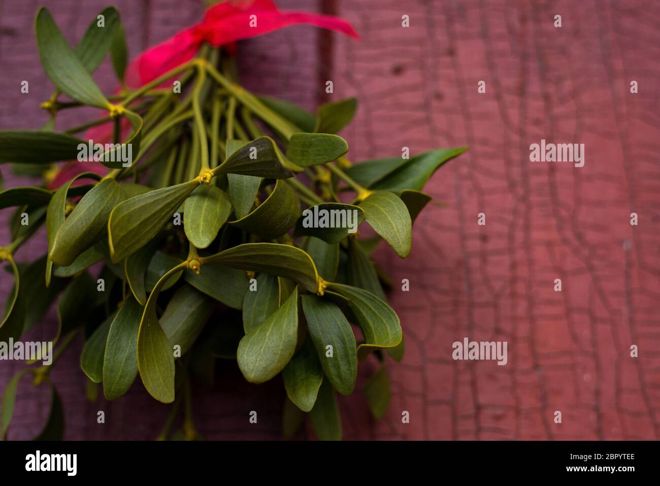 Christmas festive background with green mistletoe hanged on the old cracked door background with empty space for text. Stock Photo