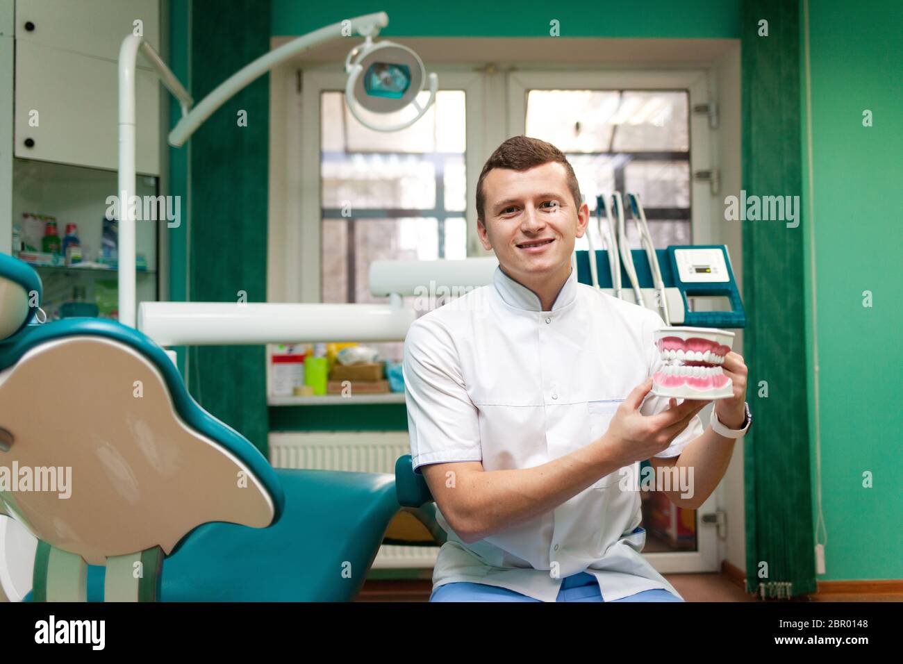 Portrait of a dentist doctor who holds in hands jaw model to simulate ...