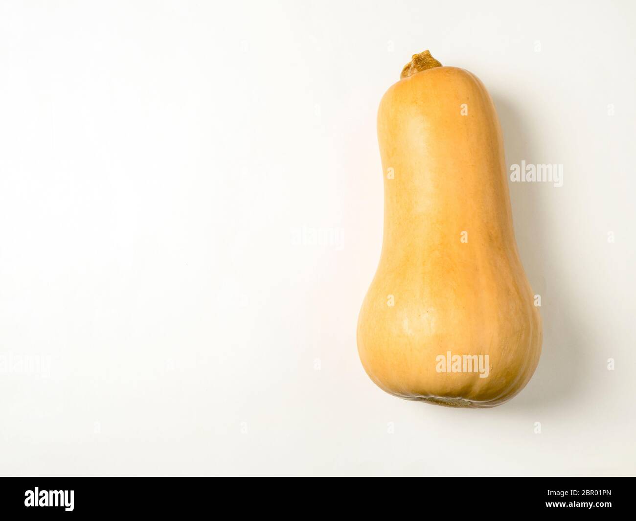 A whole butternut squash isolated on a white background with copy space Stock Photo