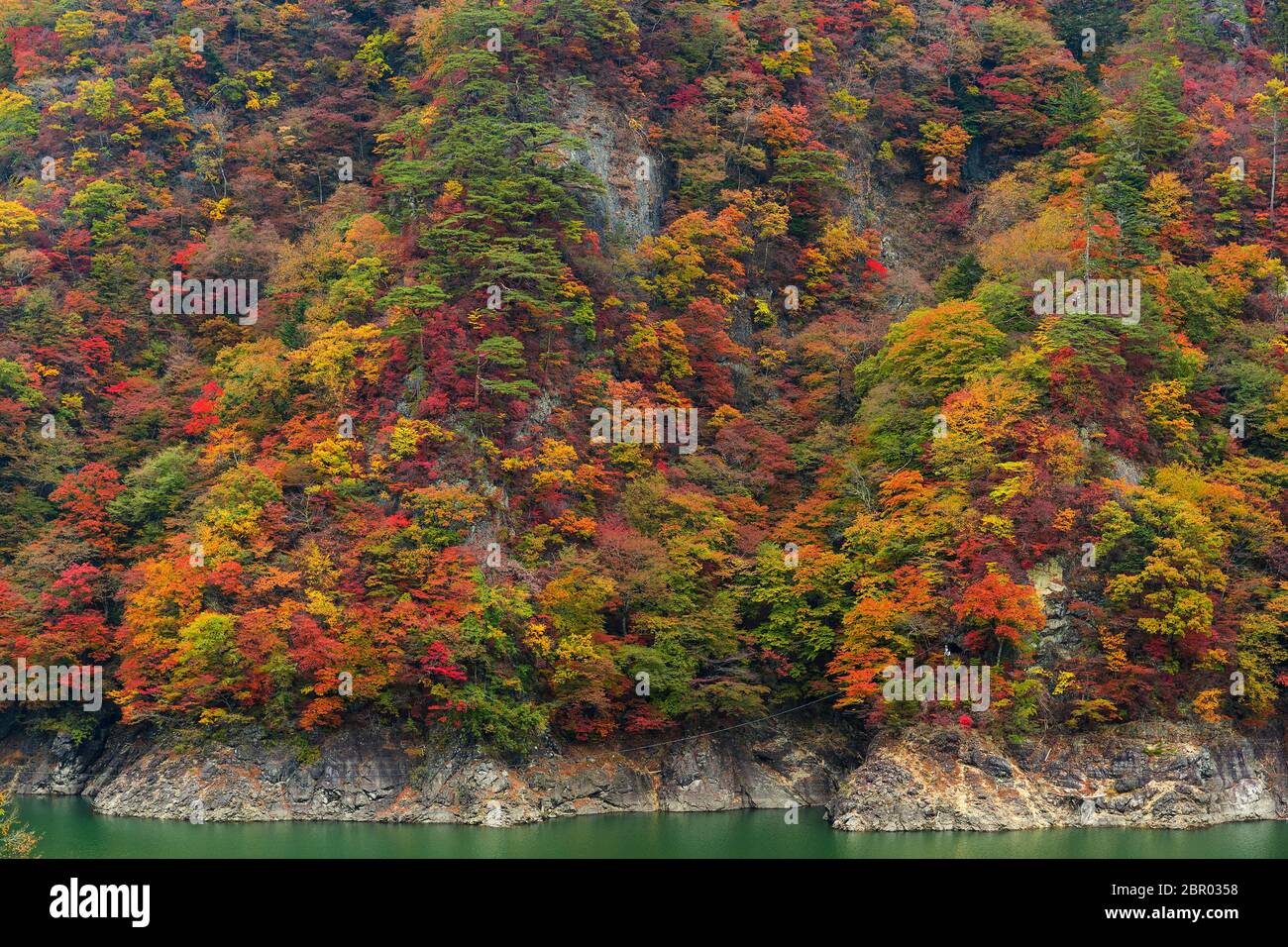 Beautiful lake in Autumn Stock Photo - Alamy
