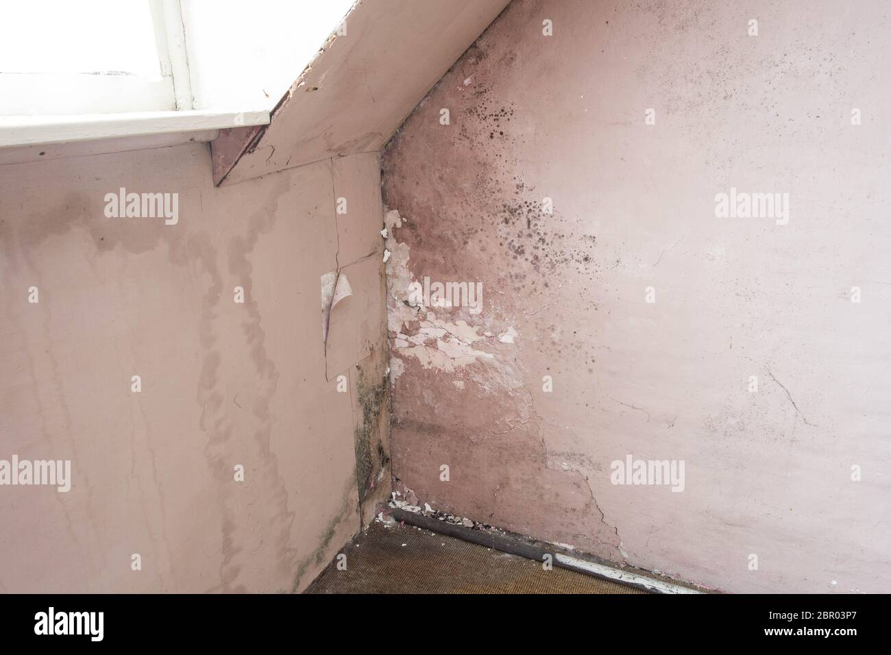 Water damage causing mold growth on the interior walls of a property closeup Stock Photo Alamy
