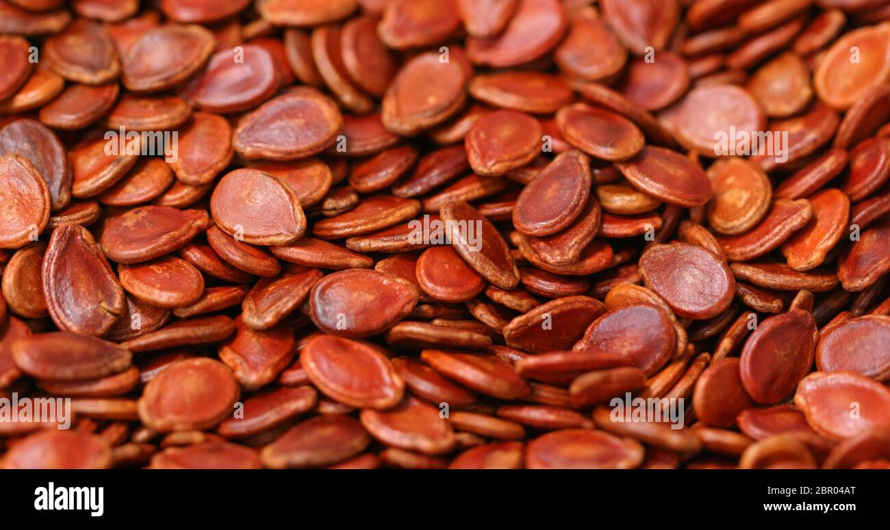 Red watermelon seed for chinese new year Stock Photo