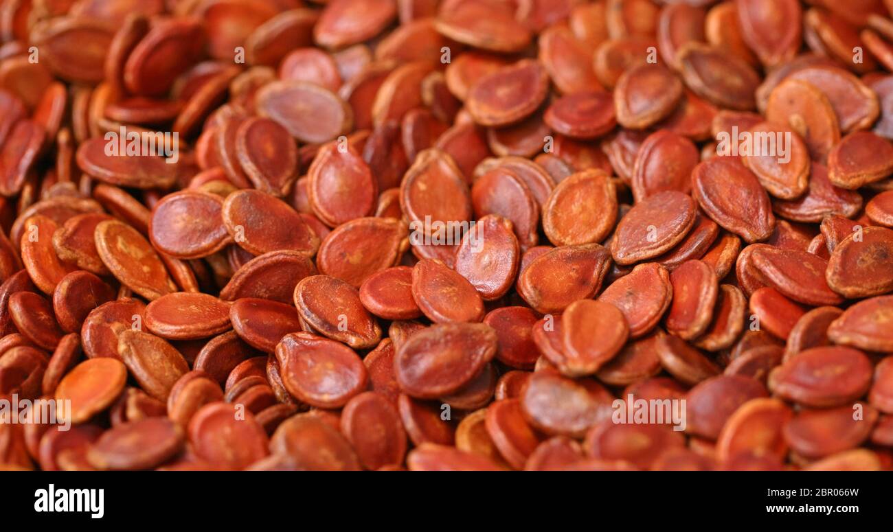 Red watermelon seed Stock Photo Alamy