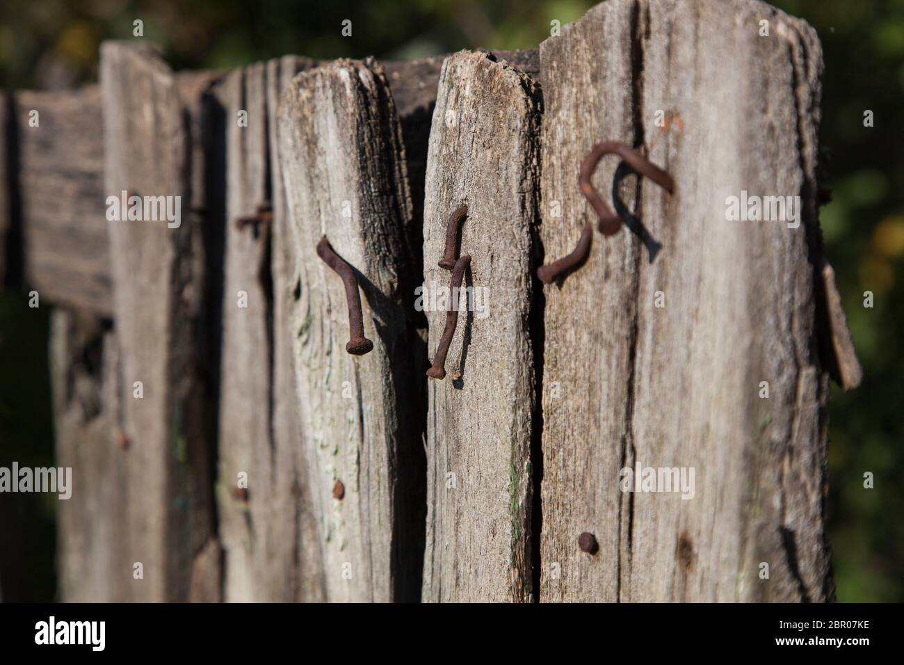 Part of the old worn-out wooden fence with rusty nails sticking out/Сloseup of old fence with nails Stock Photo