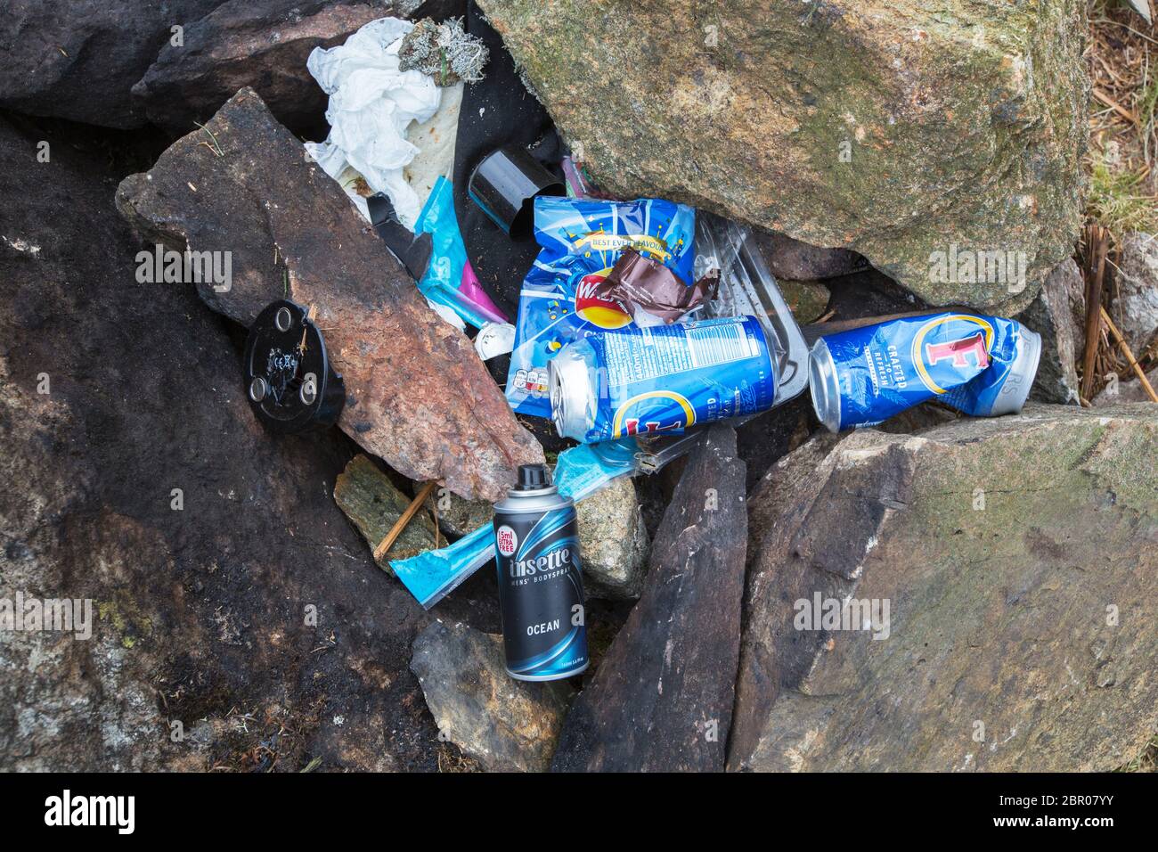Litter left by youths camped overnight on Todd Crag, Ambleside, Lake District, UK, who also pulled down a tree protecting fence to light a fire with. Stock Photo