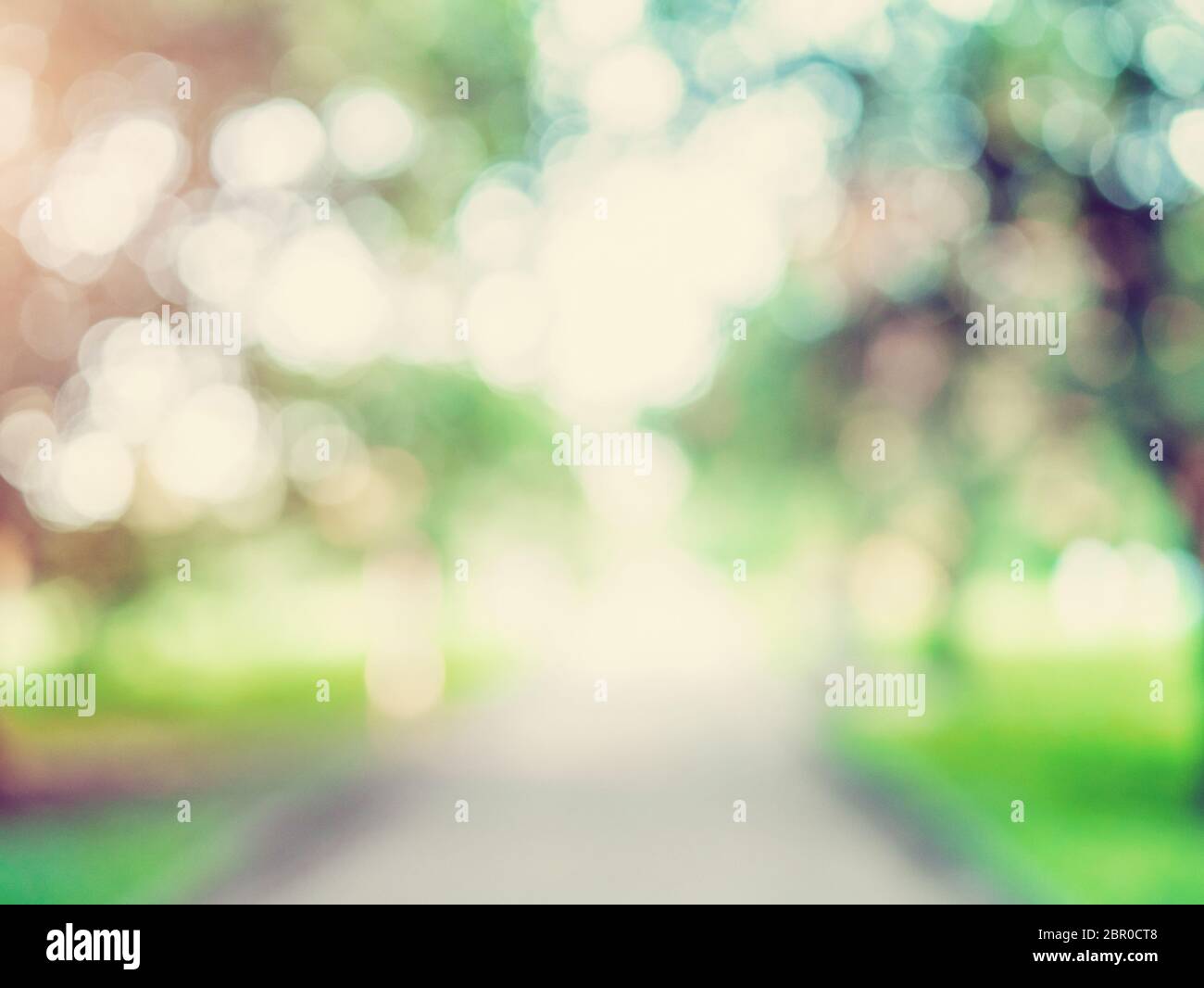Macro background green park. Blur bokeh nature Stock Photo - Alamy