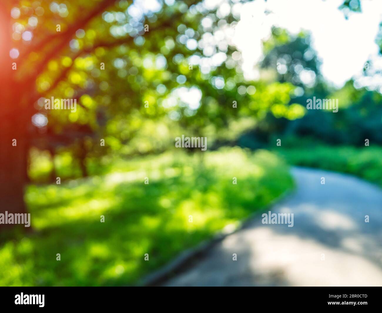 Macro background green park. Blur bokeh nature Stock Photo - Alamy