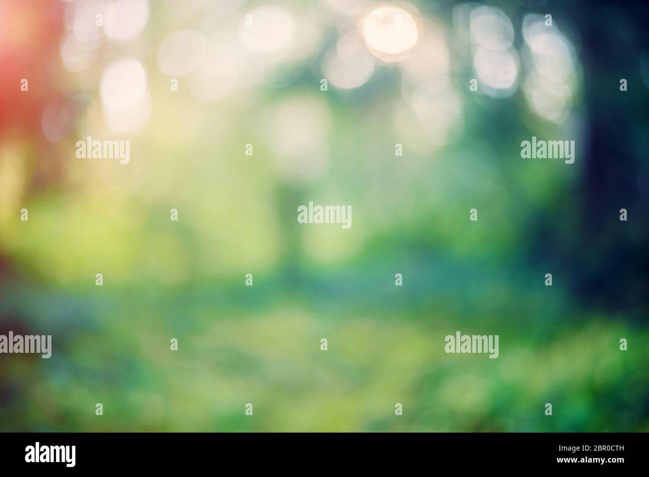 Blur bokeh macro background. Green park landscape Stock Photo - Alamy