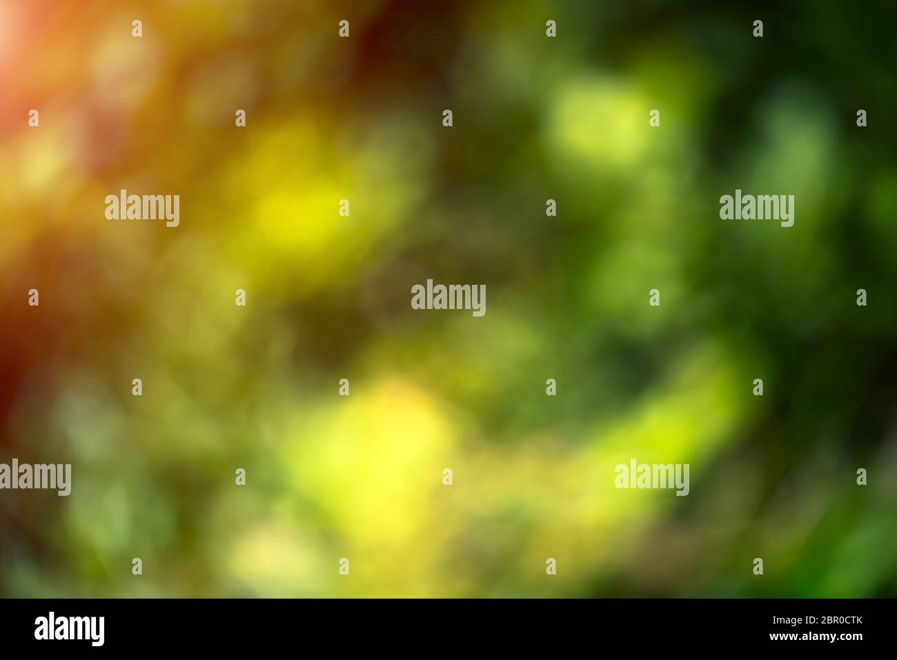 Blur bokeh macro background. Green park landscape Stock Photo - Alamy