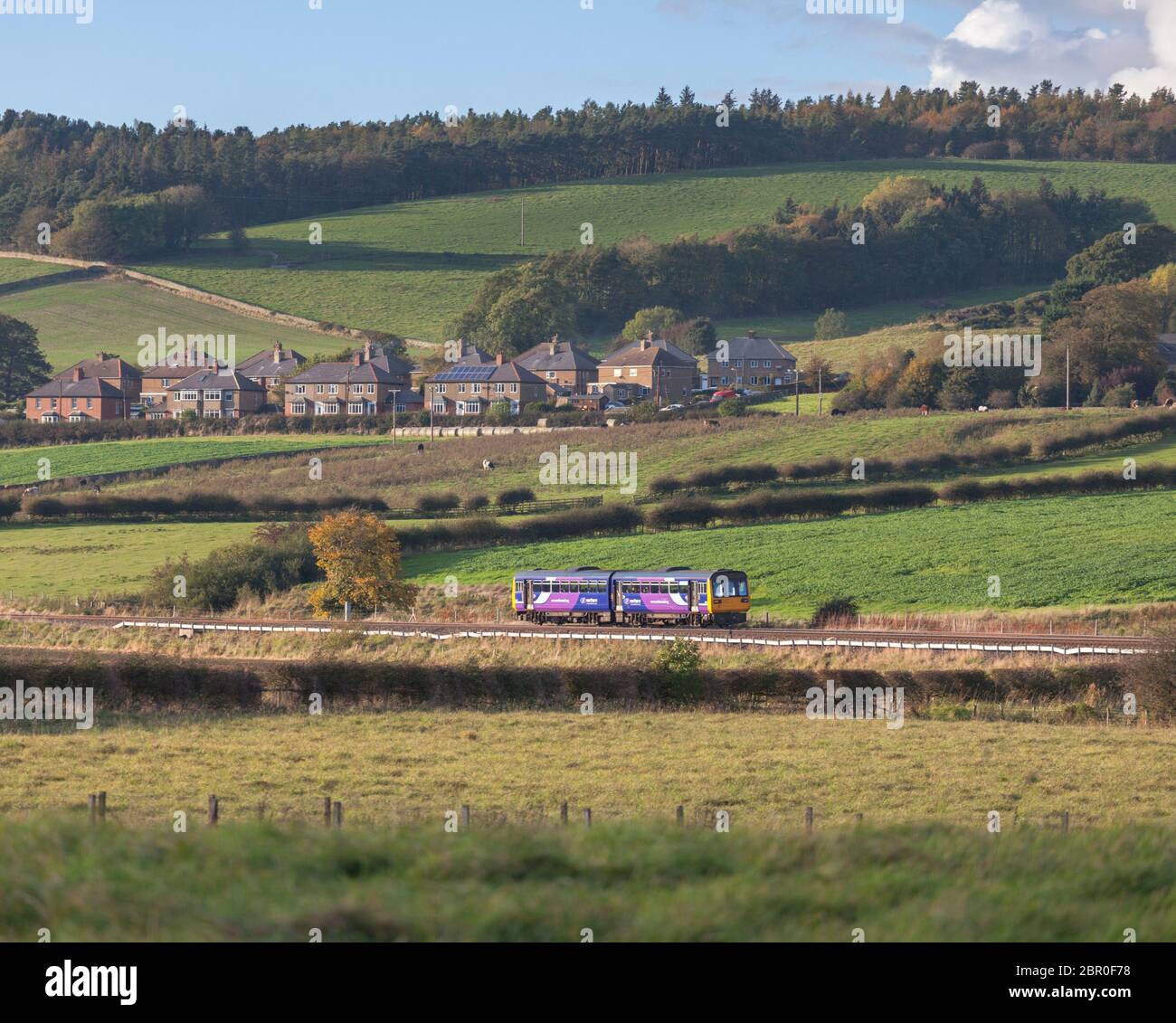 Northern rail class 142 pacer train 142017 passing the countryside at High Warden on the Tyne valley railway line with a stopping train Stock Photo