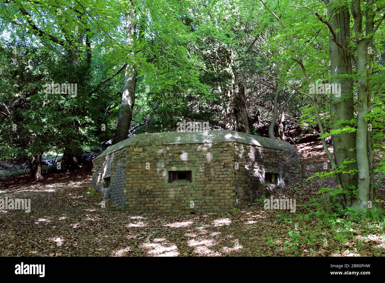 Ww2 Pill Box Bunker White Downs Pilgrim S Way North Downs Way Surrey Hills Aonb North Downs Dorking England Great Britain Uk Europe Stock Photo Alamy