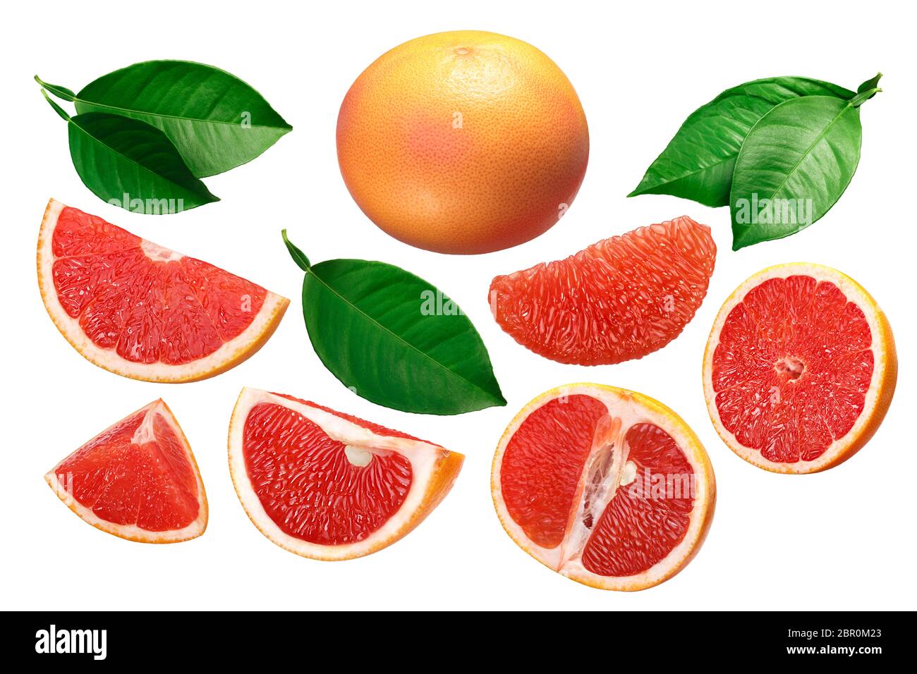 Grapefruit (Citrus x paradisi), whole, sliced, peeled, pieces, leaves