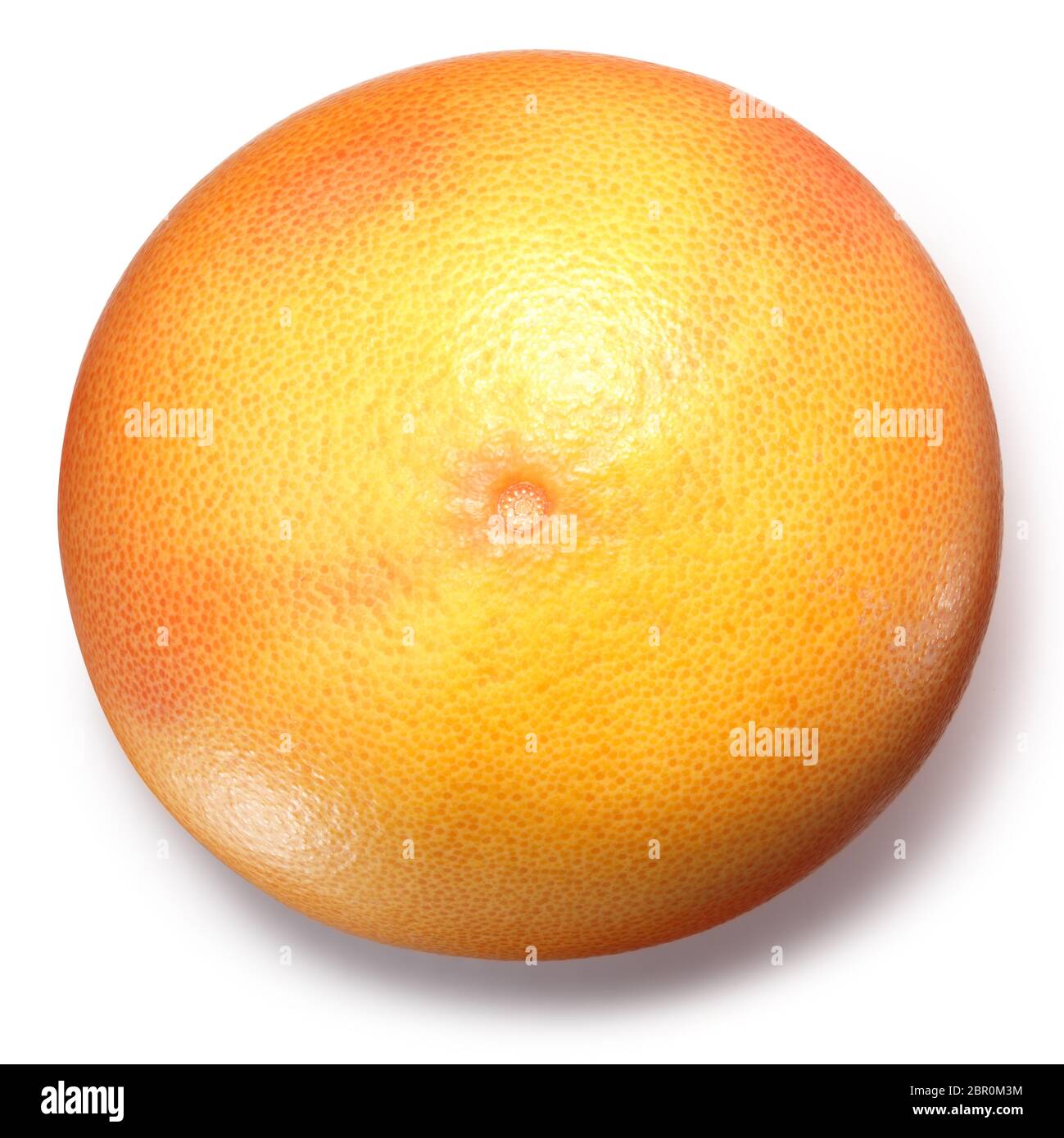 Grapefruit (Citrus x paradisi), whole fresh fruit, top view Stock Photo