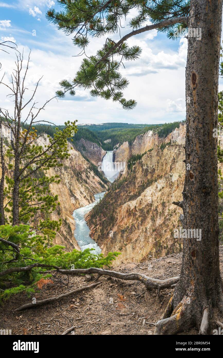 upper falls on the day in yellow stone Yellowstone National park ...