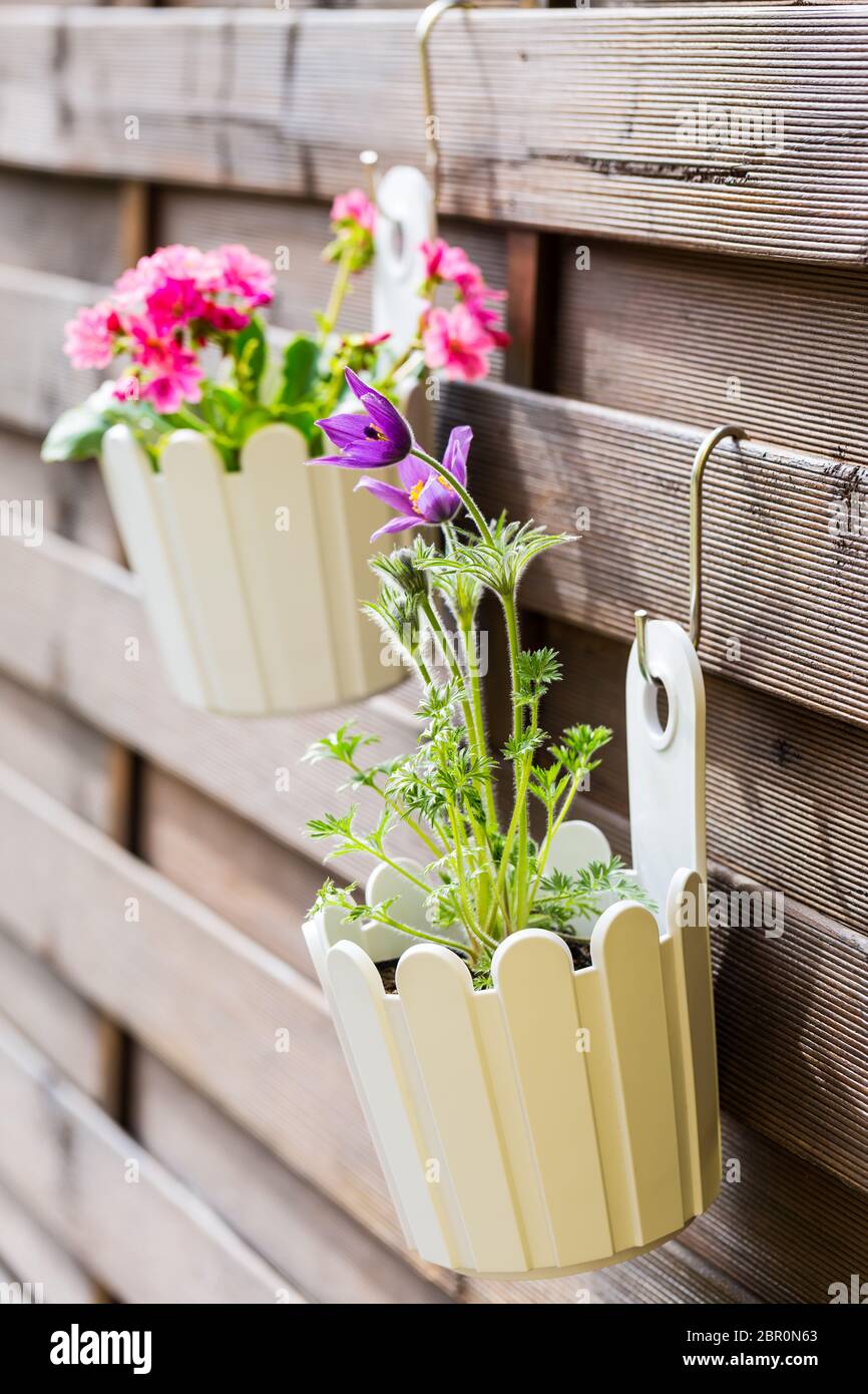 Detail of hanging flower pots on fence Stock Photo Alamy