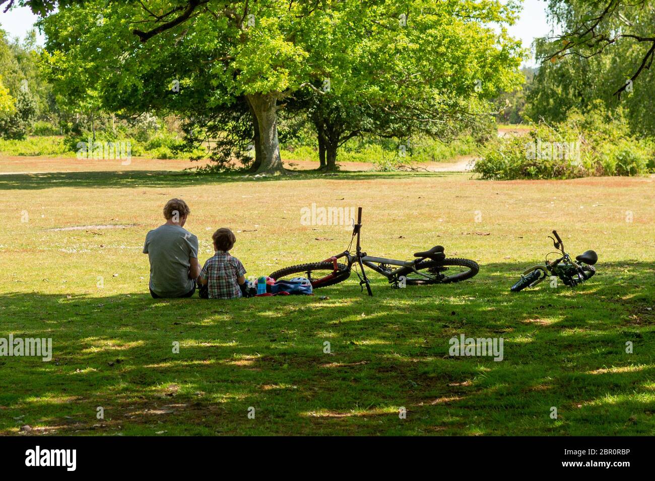 Man sitting under shade tree hi-res stock photography and images - Alamy
