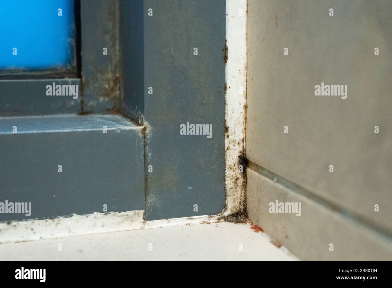 Old plastic window frame in the shower. Moldy angle, fungus. Problem