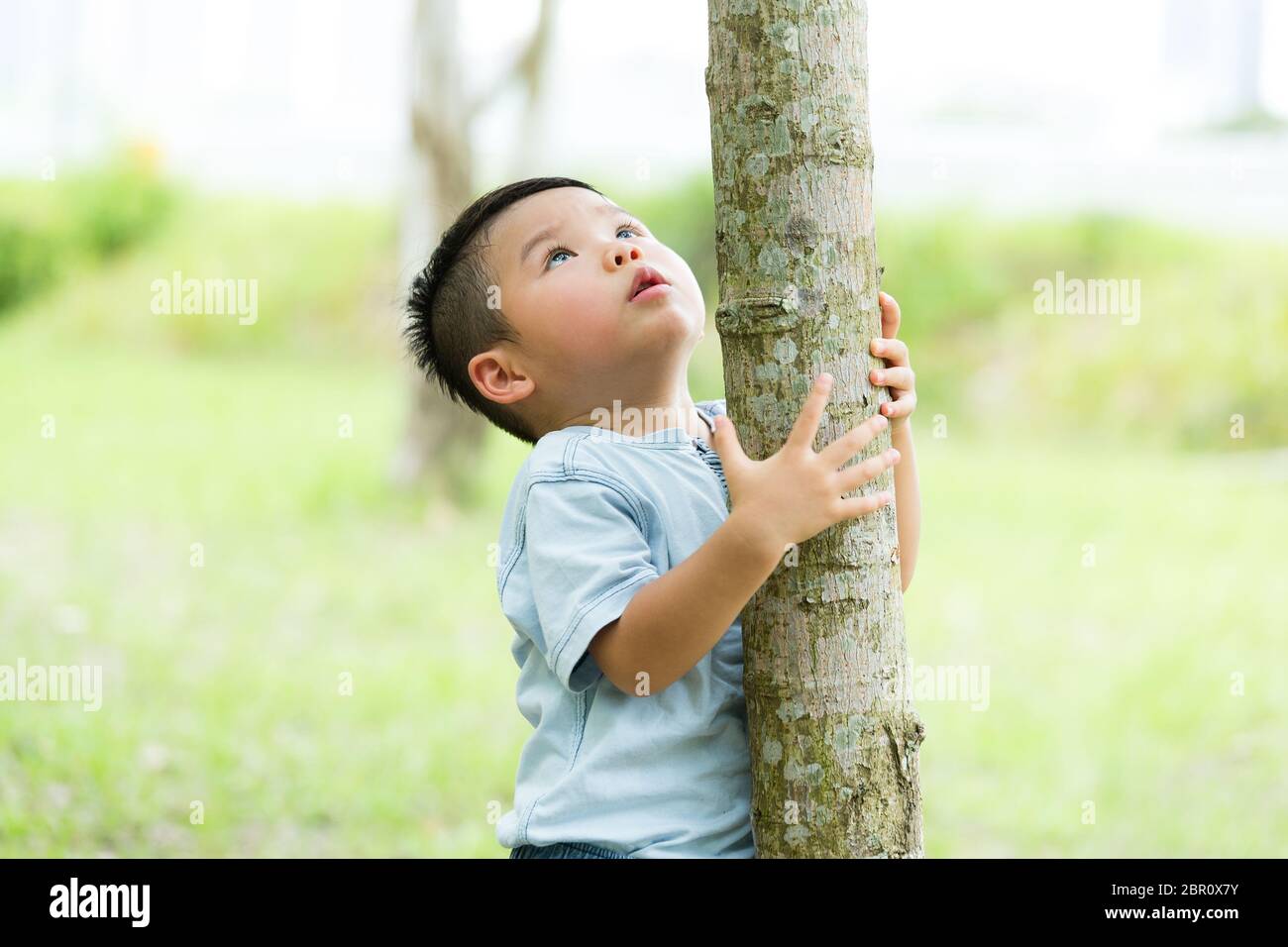 Baby boy climb up for the top of the tree Stock Photo