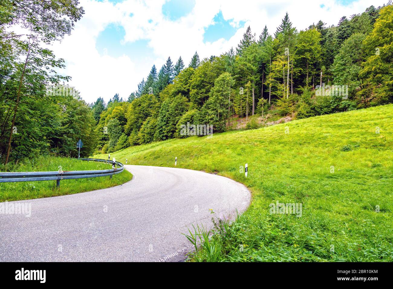 Tarred road winding through lush green countryside with spring forest in an alpine valley in a travel and tourism concept Stock Photo