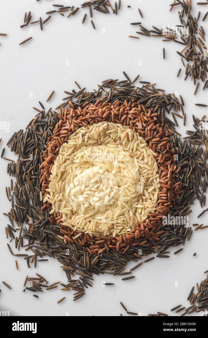 Different Kinds Of Rice On The White Background Stock Photo Alamy Different kinds of rice on the white background stock photo alamy